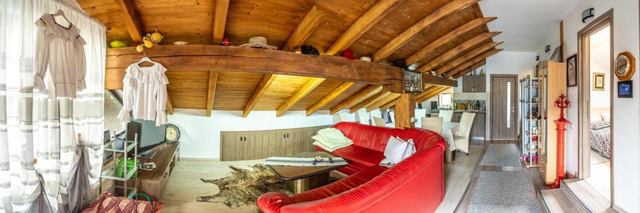 Cabana Rustic Borşa Exterior foto