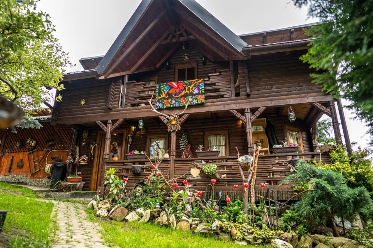 Cabana Rustic Borşa Exterior foto