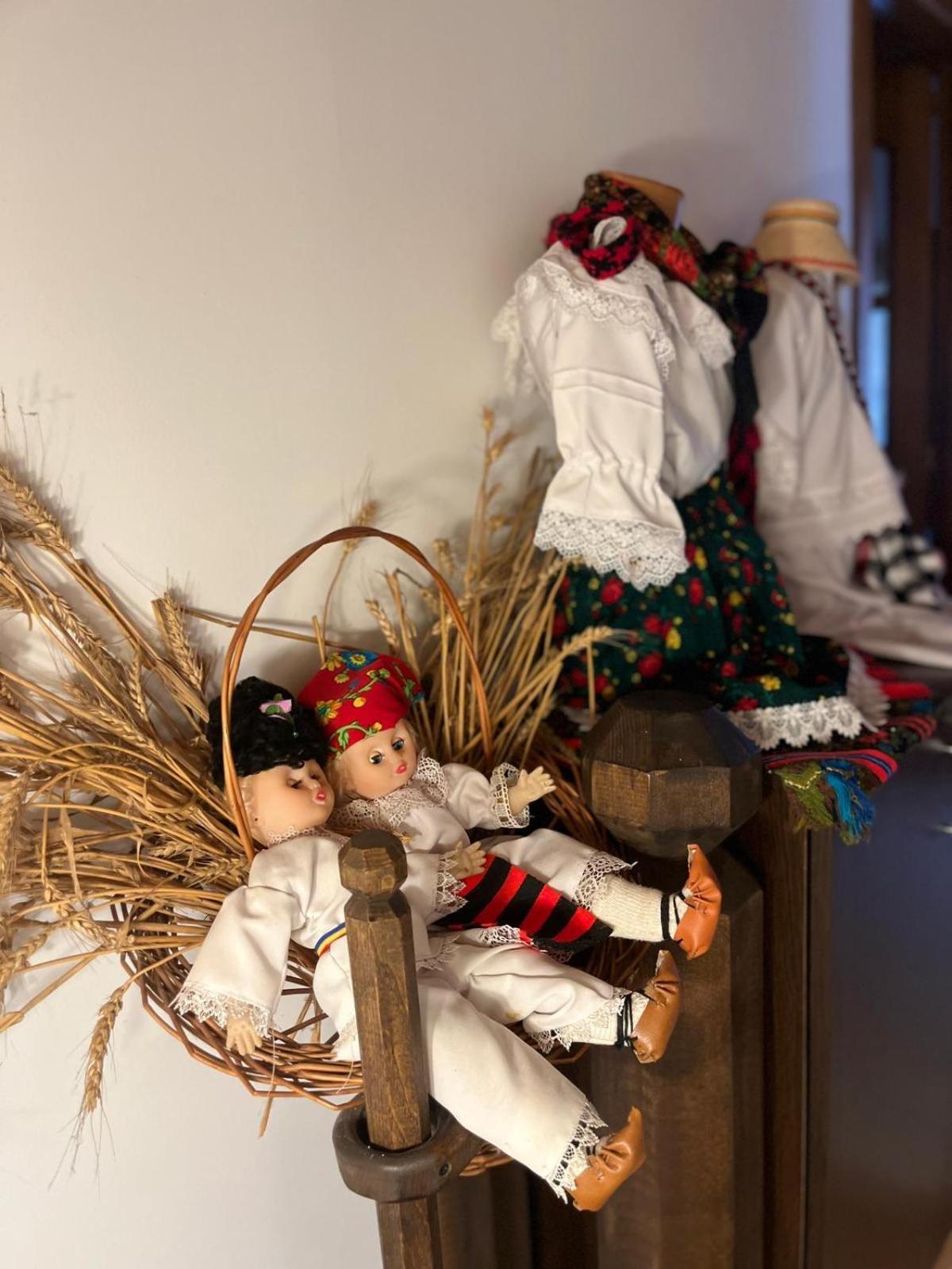 Cabana Rustic Borşa Zimmer foto