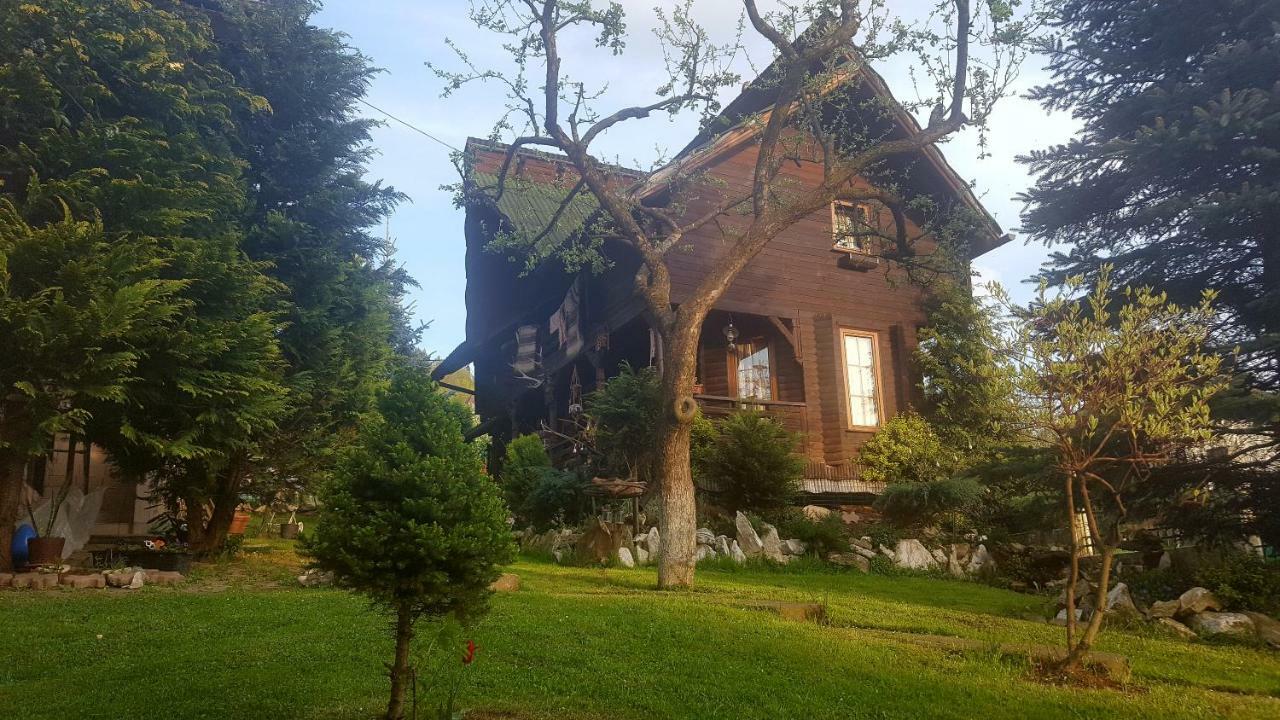 Cabana Rustic Borşa Exterior foto